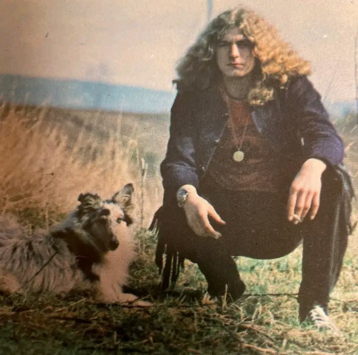 Robert Plant, best known as the legendary lead singer of Led Zeppelin, made a rare and humorous appearance in the British comedy Doreen: The Movie (2016), a film based on the popular Midlands character Doreen Tipton. In this offbeat mockumentary-style comedy, Plant plays himself in a cameo role, showing his lighter side and poking fun at his rockstar persona. His brief but memorable appearance adds a quirky charm to the film, aligning with its satirical tone and Midlands pride. Though not widely known for acting, Plant’s inclusion in the film reflects his strong ties to the region and willingness to embrace its eccentric humor…..